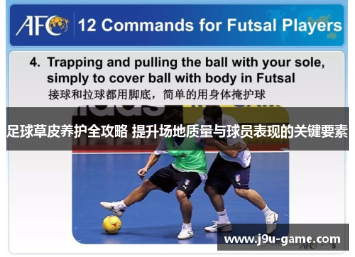 足球草皮养护全攻略 提升场地质量与球员表现的关键要素 足球草皮养护全攻略 提升场地质量与球员表现的关键要素