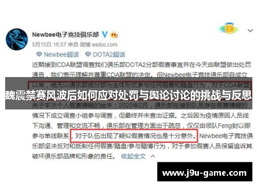 魏震禁赛风波后如何应对处罚与舆论讨论的挑战与反思