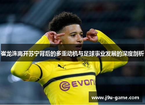 崔龙洙离开苏宁背后的多重动机与足球事业发展的深度剖析