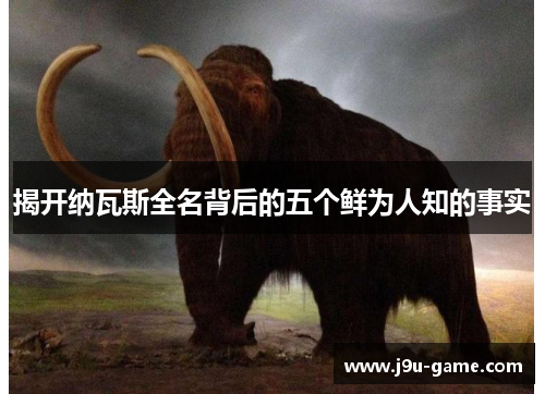 揭开纳瓦斯全名背后的五个鲜为人知的事实 揭开纳瓦斯全名背后的五个鲜为人知的事实