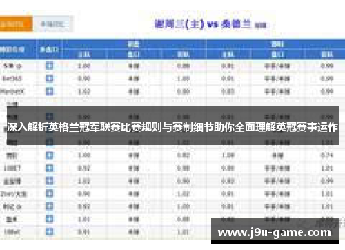 深入解析英格兰冠军联赛比赛规则与赛制细节助你全面理解英冠赛事运作